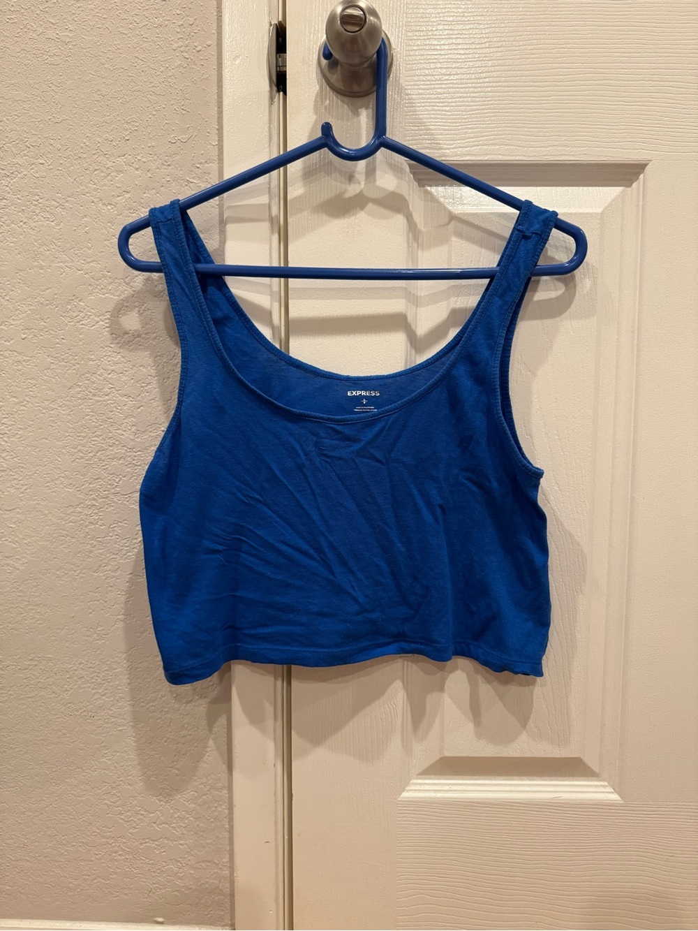 Express blue crop top